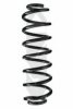 SPIDAN 86358 Coil Spring